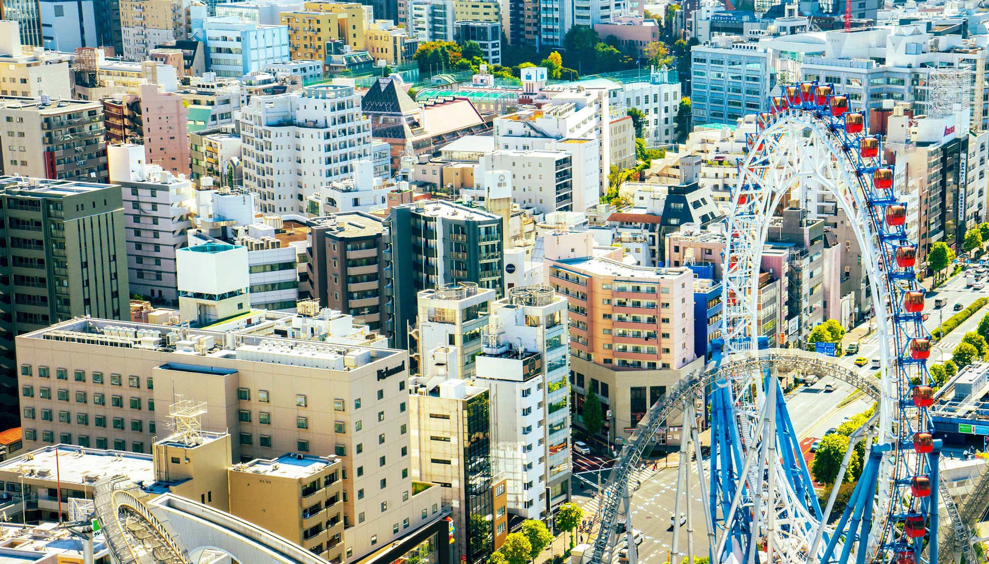 報告書ダウンロード